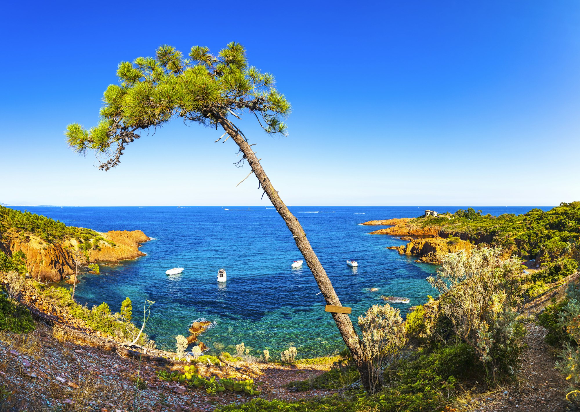 Esterel, tree, rocks beach coast and sea. Cote Azur, Provence, France.